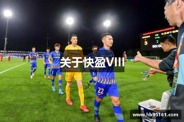 关于快盈VIII